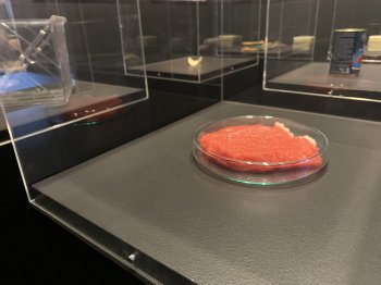 Steak de viande cultivée