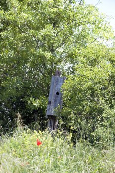 Nichoir à huppes 
© madd-bordeaux